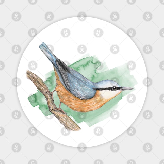 Nuthatch Magnet by Bwiselizzy